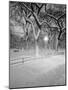 Snow Covered Promenade, Central Park-Walter Bibikow-Mounted Photographic Print