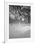 Snow Covered Promenade, Central Park-Walter Bibikow-Framed Photographic Print