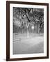 Snow Covered Promenade, Central Park-Walter Bibikow-Framed Photographic Print