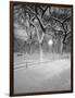 Snow Covered Promenade, Central Park-Walter Bibikow-Framed Photographic Print