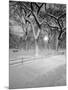 Snow Covered Promenade, Central Park-Walter Bibikow-Mounted Photographic Print