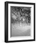 Snow Covered Promenade, Central Park-Walter Bibikow-Framed Photographic Print