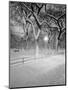 Snow Covered Promenade, Central Park-Walter Bibikow-Mounted Photographic Print