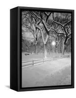 Snow Covered Promenade, Central Park-Walter Bibikow-Framed Stretched Canvas