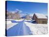 Snow Covered Road, Barn and Chalets in Norwegian Village of Laukslett, Troms, North Norway, Scandin-Neale Clark-Stretched Canvas