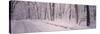 Snow Covered Road, Holland, Michigan, USA-null-Stretched Canvas