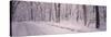 Snow Covered Road, Holland, Michigan, USA-null-Stretched Canvas