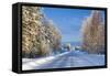 Snow Covered Road, Near Lulea, Northern Sweden-Peter Adams-Framed Stretched Canvas