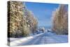 Snow Covered Road, Near Lulea, Northern Sweden-Peter Adams-Stretched Canvas