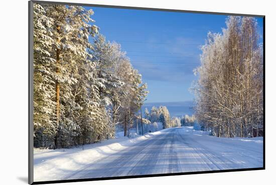 Snow Covered Road, Near Lulea, Northern Sweden-Peter Adams-Mounted Photographic Print