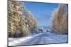 Snow Covered Road, Near Lulea, Northern Sweden-Peter Adams-Mounted Photographic Print