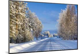 Snow Covered Road, Near Lulea, Northern Sweden-Peter Adams-Mounted Photographic Print