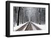 Snow Covered Road & Trees-null-Framed Art Print