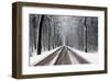 Snow Covered Road & Trees-null-Framed Art Print