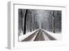 Snow Covered Road & Trees-null-Framed Art Print