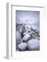 Snow covered rocks on the beach modeled by the wind surround the icy sea Pollen Vareid Flakstad Lof-ClickAlps-Framed Photographic Print