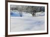 Snow-covered sand dunes, frosted winter trees, Fertile Sand Hills Recreation Area, Minnesota, USA.-Panoramic Images-Framed Photographic Print