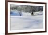 Snow-covered sand dunes, frosted winter trees, Fertile Sand Hills Recreation Area, Minnesota, USA.-Panoramic Images-Framed Photographic Print