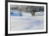 Snow-covered sand dunes, frosted winter trees, Fertile Sand Hills Recreation Area, Minnesota, USA.-Panoramic Images-Framed Photographic Print