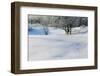 Snow-covered sand dunes, frosted winter trees, Fertile Sand Hills Recreation Area, Minnesota, USA.-Panoramic Images-Framed Photographic Print