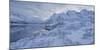 Snow-Covered Scenery with Sildpollneset (Peninsula), Vestpollen, Austnesfjorden-Rainer Mirau-Mounted Photographic Print