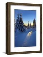 Snow-Covered Spruces at Sunrise at the Wurmberg in Harz, Near Braunlage, Lower Saxony, Germany-Andreas Vitting-Framed Photographic Print