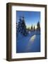 Snow-Covered Spruces at Sunrise at the Wurmberg in Harz, Near Braunlage, Lower Saxony, Germany-Andreas Vitting-Framed Photographic Print