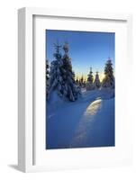 Snow-Covered Spruces at Sunrise at the Wurmberg in Harz, Near Braunlage, Lower Saxony, Germany-Andreas Vitting-Framed Photographic Print