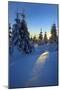 Snow-Covered Spruces at Sunrise at the Wurmberg in Harz, Near Braunlage, Lower Saxony, Germany-Andreas Vitting-Mounted Photographic Print