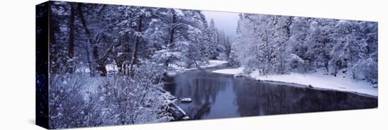 Snow Covered Trees Along a River, Yosemite National Park, California, USA-null-Stretched Canvas