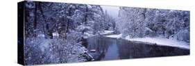 Snow Covered Trees Along a River, Yosemite National Park, California, USA-null-Stretched Canvas