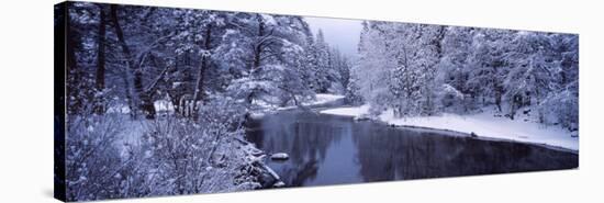 Snow Covered Trees Along a River, Yosemite National Park, California, USA-null-Stretched Canvas