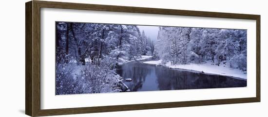 Snow Covered Trees Along a River, Yosemite National Park, California, USA-null-Framed Photographic Print