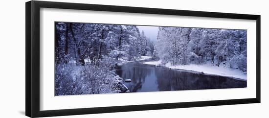 Snow Covered Trees Along a River, Yosemite National Park, California, USA-null-Framed Photographic Print