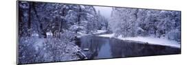 Snow Covered Trees Along a River, Yosemite National Park, California, USA-null-Mounted Photographic Print