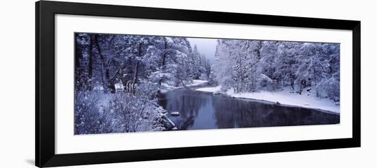 Snow Covered Trees Along a River, Yosemite National Park, California, USA-null-Framed Photographic Print