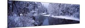 Snow Covered Trees Along a River, Yosemite National Park, California, USA-null-Mounted Photographic Print