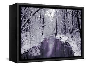 Snow Covered Trees along Creek in Winter Landscape-Jan Lakey-Framed Stretched Canvas