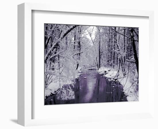 Snow Covered Trees along Creek in Winter Landscape-Jan Lakey-Framed Photographic Print