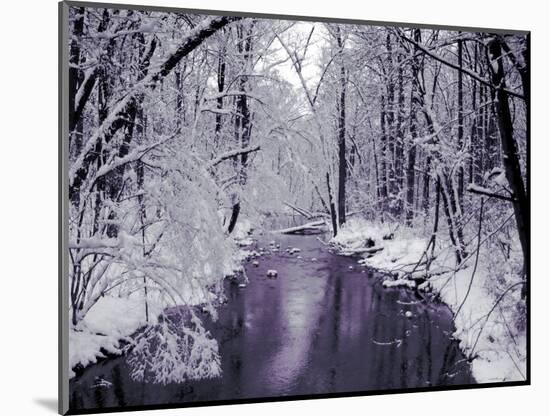 Snow Covered Trees along Creek in Winter Landscape-Jan Lakey-Mounted Photographic Print