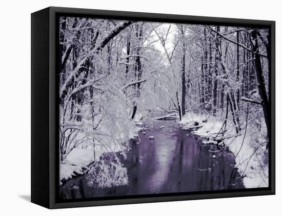 Snow Covered Trees along Creek in Winter Landscape-Jan Lakey-Framed Stretched Canvas