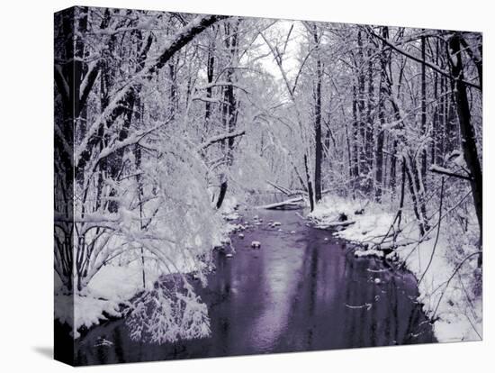 Snow Covered Trees along Creek in Winter Landscape-Jan Lakey-Stretched Canvas