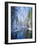 Snow Covered Trees Along Merced River, Yosemite Valley, Yosemite National Park, California, USA-Scott T. Smith-Framed Photographic Print