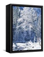 Snow Covered Trees Along Merced River, Yosemite Valley, Yosemite National Park, California, USA-Scott T. Smith-Framed Stretched Canvas