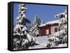 Snow Covered Trees and House, with Icicles, Near Sjusjoen, Lillehammer Area, Norway, Scandinavia-Woolfitt Adam-Framed Stretched Canvas