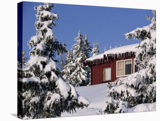 Snow Covered Trees and House, with Icicles, Near Sjusjoen, Lillehammer Area, Norway, Scandinavia-Woolfitt Adam-Stretched Canvas