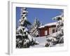 Snow Covered Trees and House, with Icicles, Near Sjusjoen, Lillehammer Area, Norway, Scandinavia-Woolfitt Adam-Framed Photographic Print