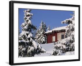 Snow Covered Trees and House, with Icicles, Near Sjusjoen, Lillehammer Area, Norway, Scandinavia-Woolfitt Adam-Framed Photographic Print