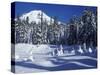 Snow Covered Trees and Moguls of Mt. Hood, Oregon, USA-Janis Miglavs-Stretched Canvas