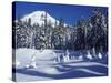 Snow Covered Trees and Moguls of Mt. Hood, Oregon, USA-Janis Miglavs-Stretched Canvas